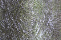 Alkerton fibreglass roof work